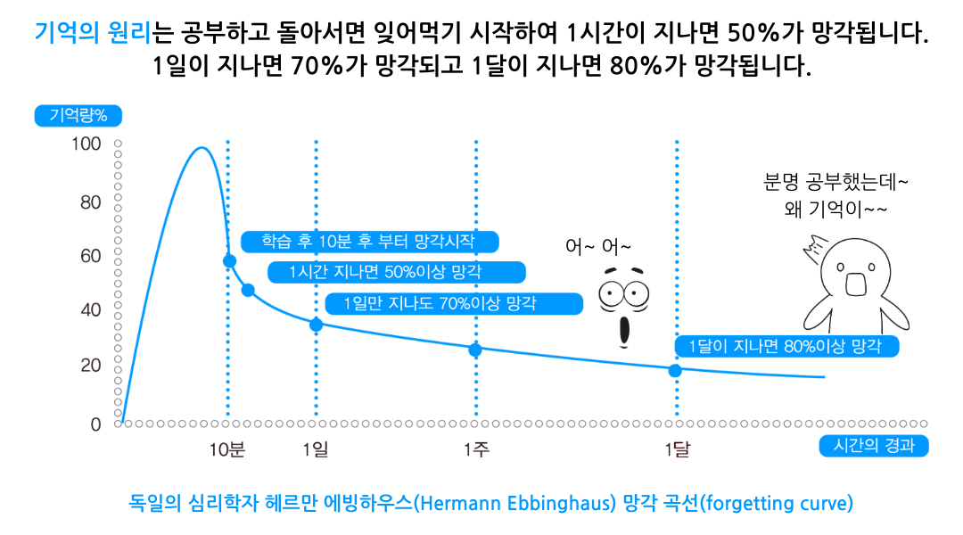 에빙하우스 망각곡선 — 1시간 50%, 1일 70%, 1달 80% 망각