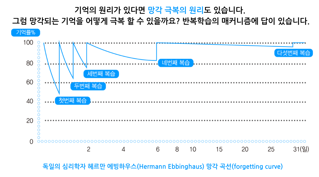 반복학습 메커니즘 — 5회 복습으로 기억 유지